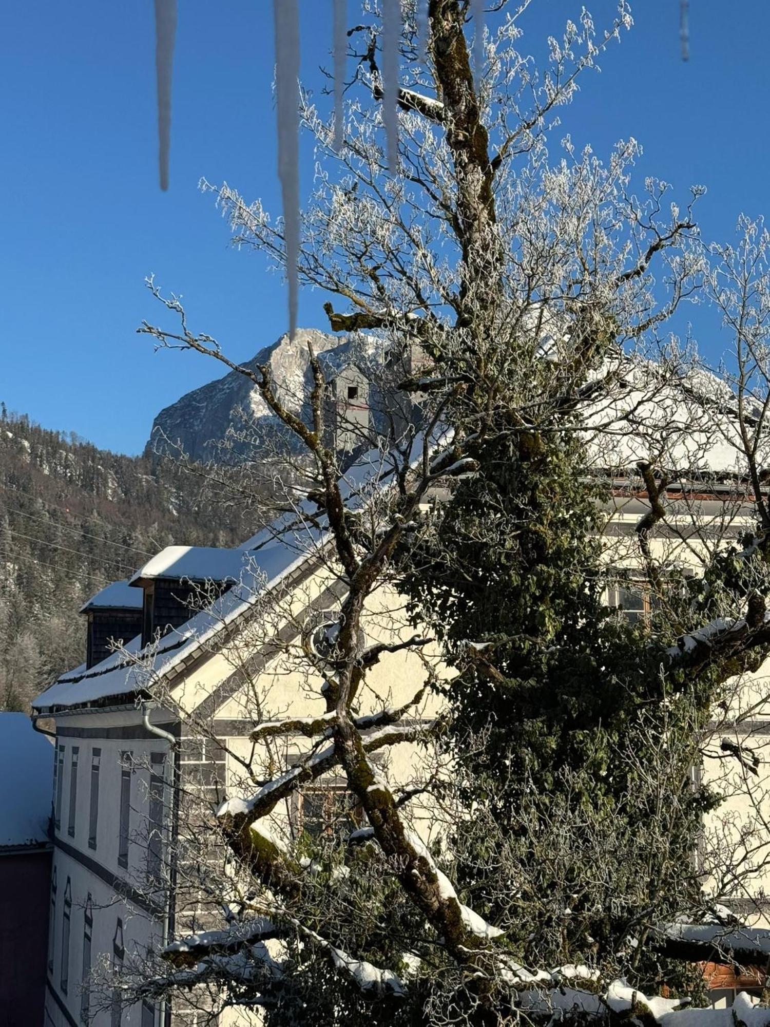 Podenhaus Bad Aussee Buitenkant foto